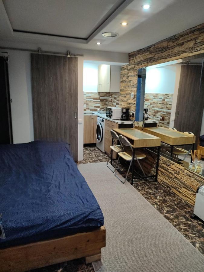 Appartement Garsoniera Alex à Cluj-Napoca Extérieur photo